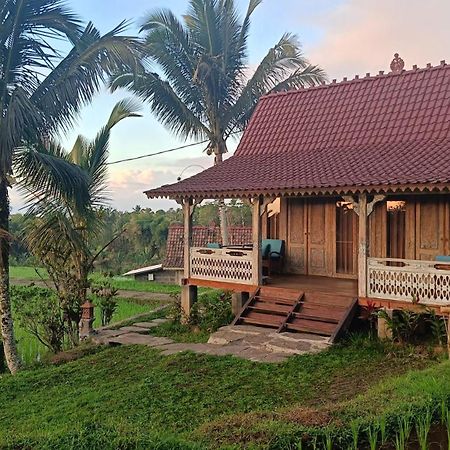 D'Ume Bendoel Homestay Джатилувих Экстерьер фото