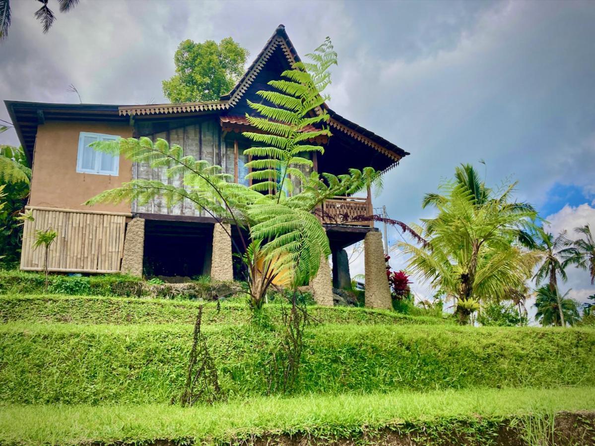 D'Ume Bendoel Homestay Джатилувих Экстерьер фото