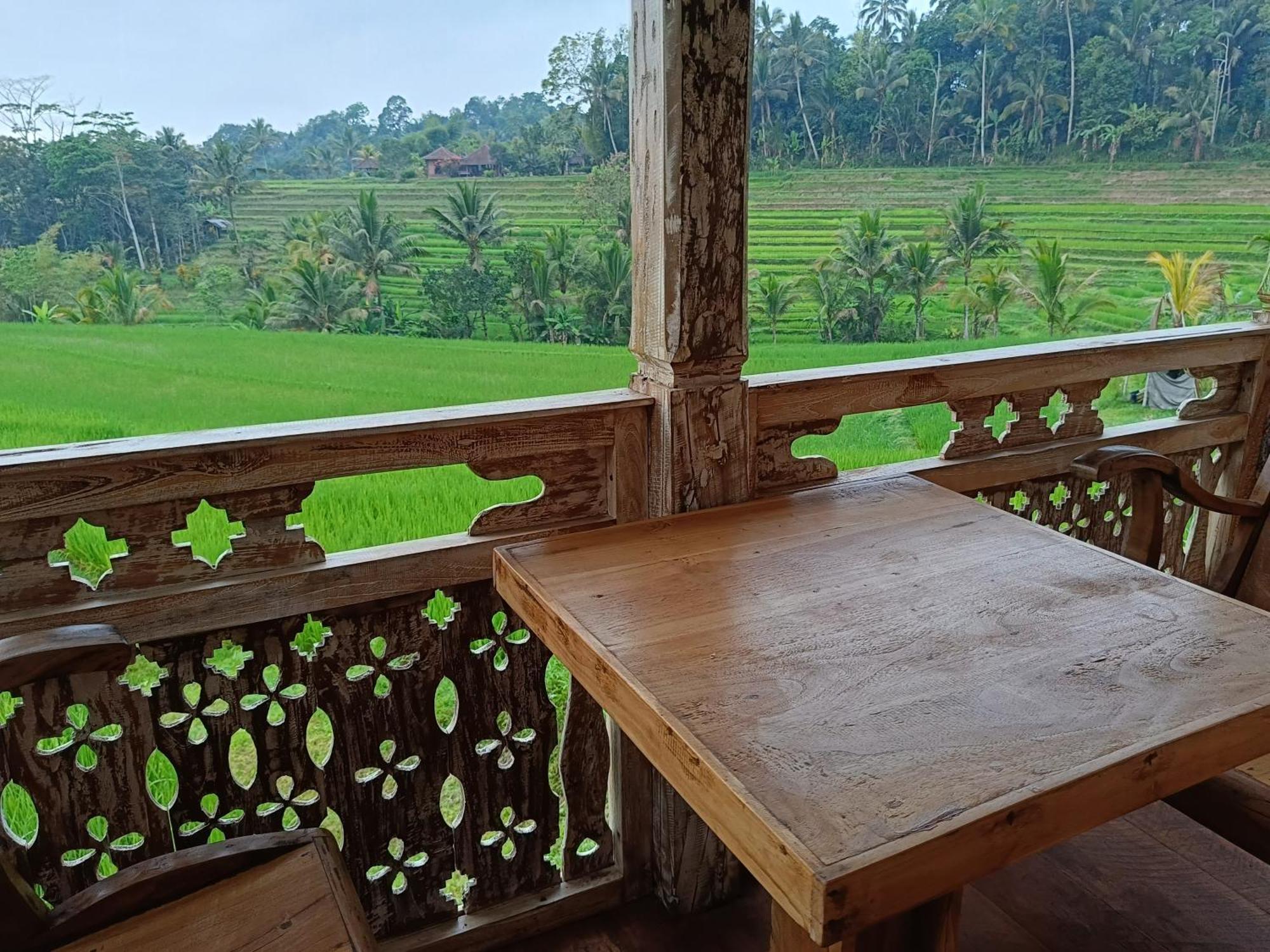 D'Ume Bendoel Homestay Джатилувих Экстерьер фото