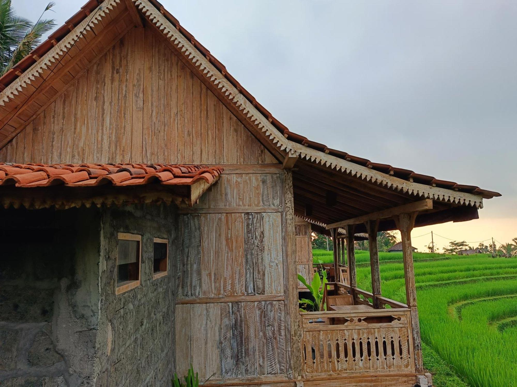 D'Ume Bendoel Homestay Джатилувих Экстерьер фото