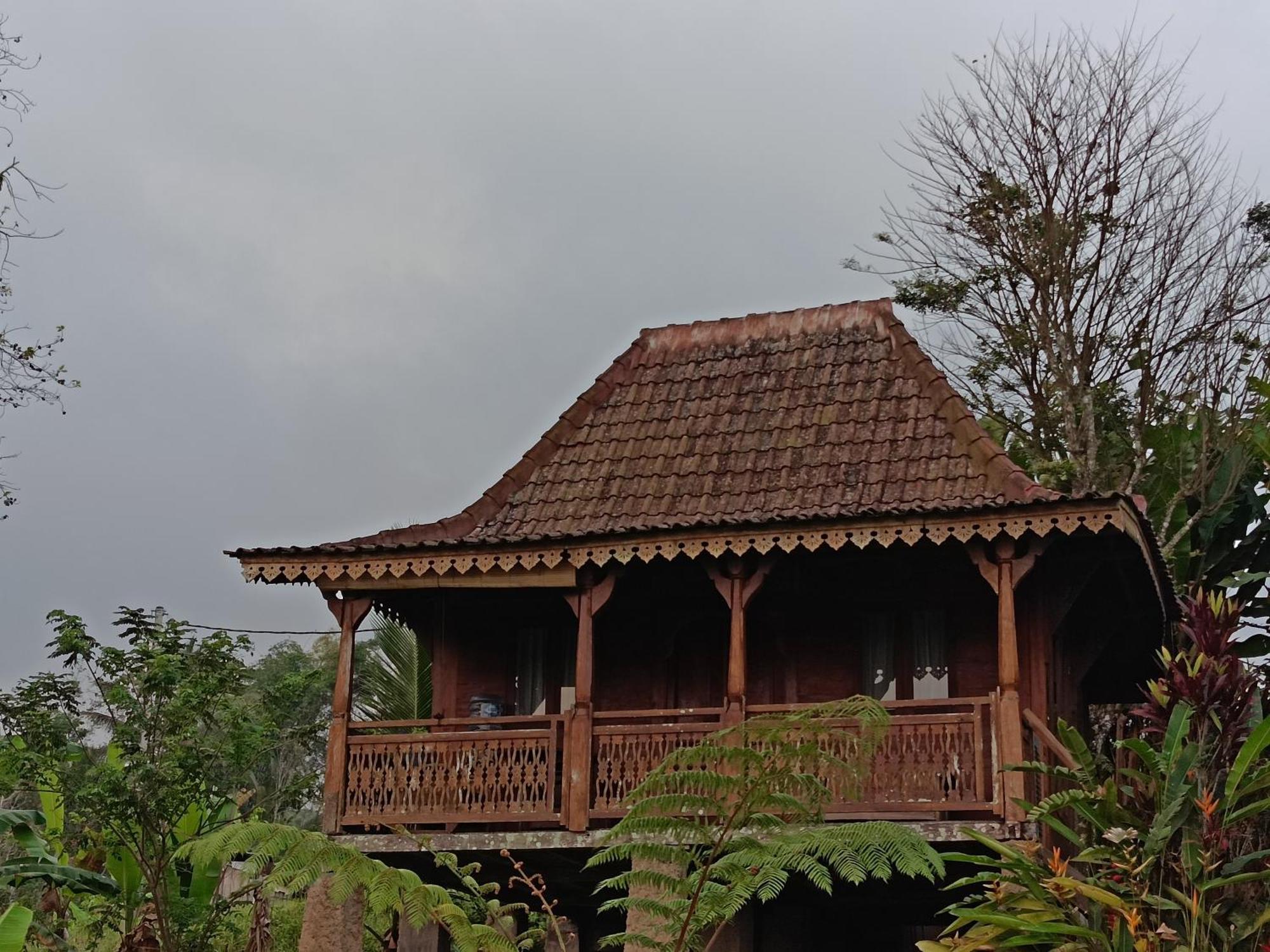 D'Ume Bendoel Homestay Джатилувих Экстерьер фото