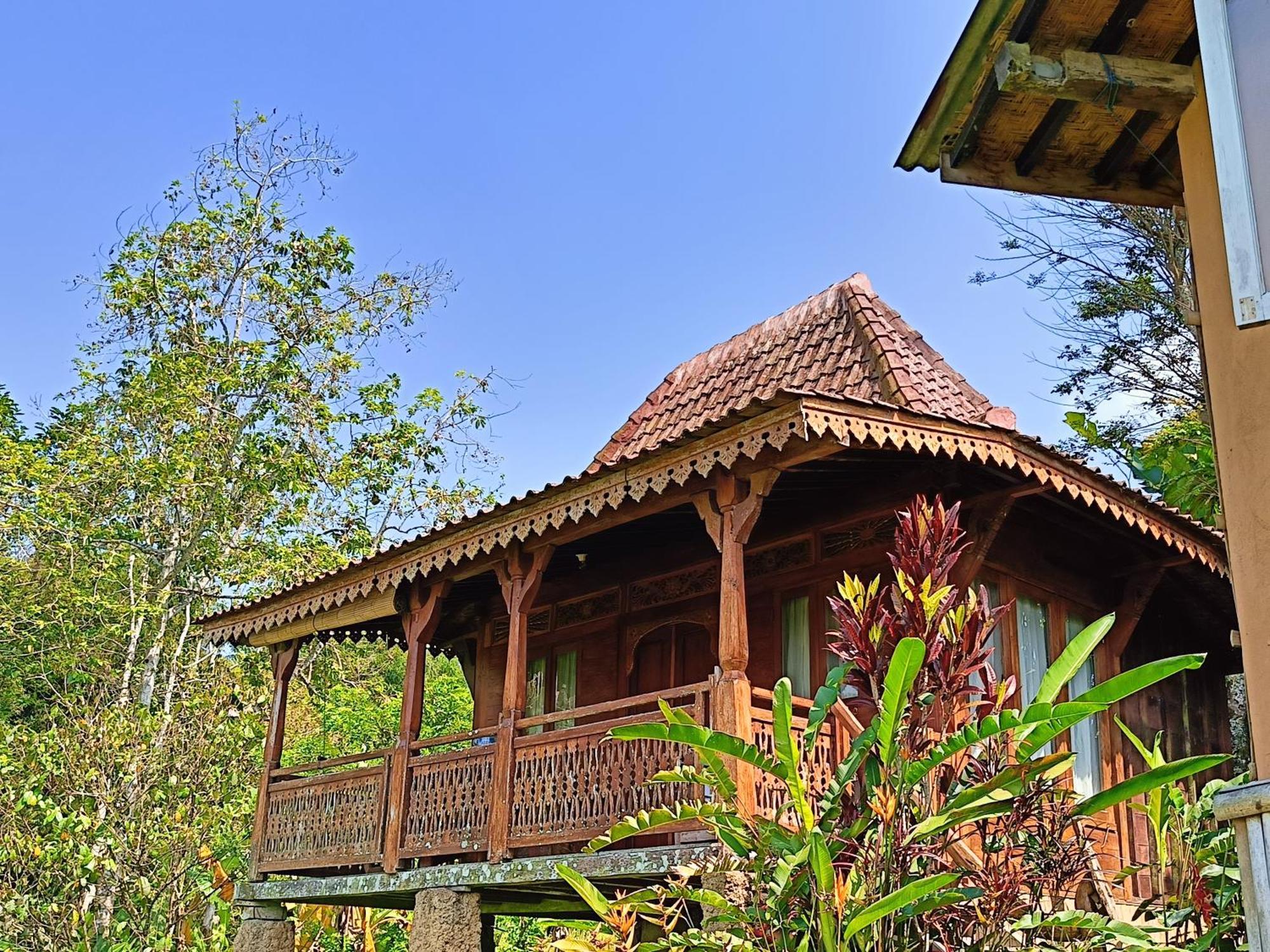 D'Ume Bendoel Homestay Джатилувих Экстерьер фото
