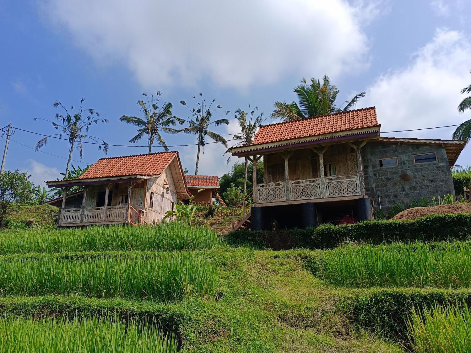 D'Ume Bendoel Homestay Джатилувих Экстерьер фото