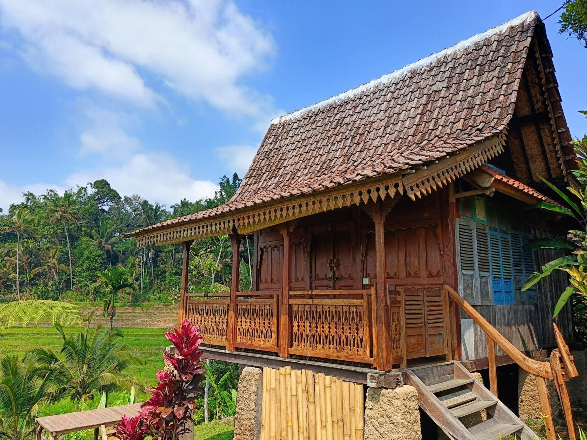 D'Ume Bendoel Homestay Джатилувих Экстерьер фото
