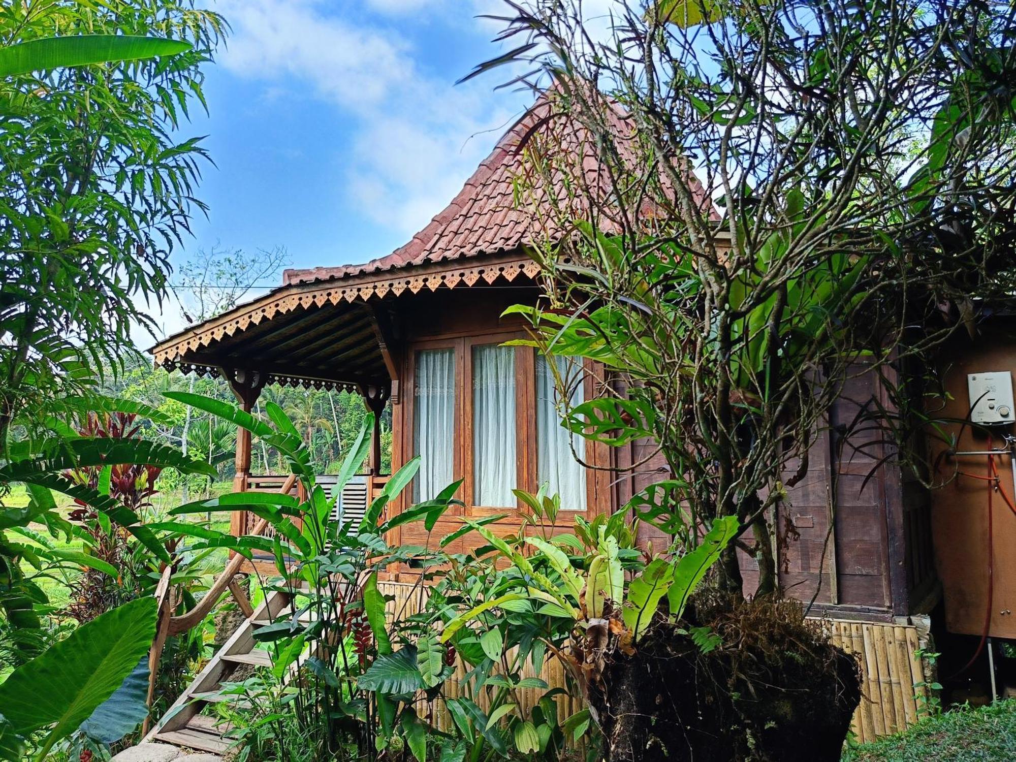 D'Ume Bendoel Homestay Джатилувих Экстерьер фото