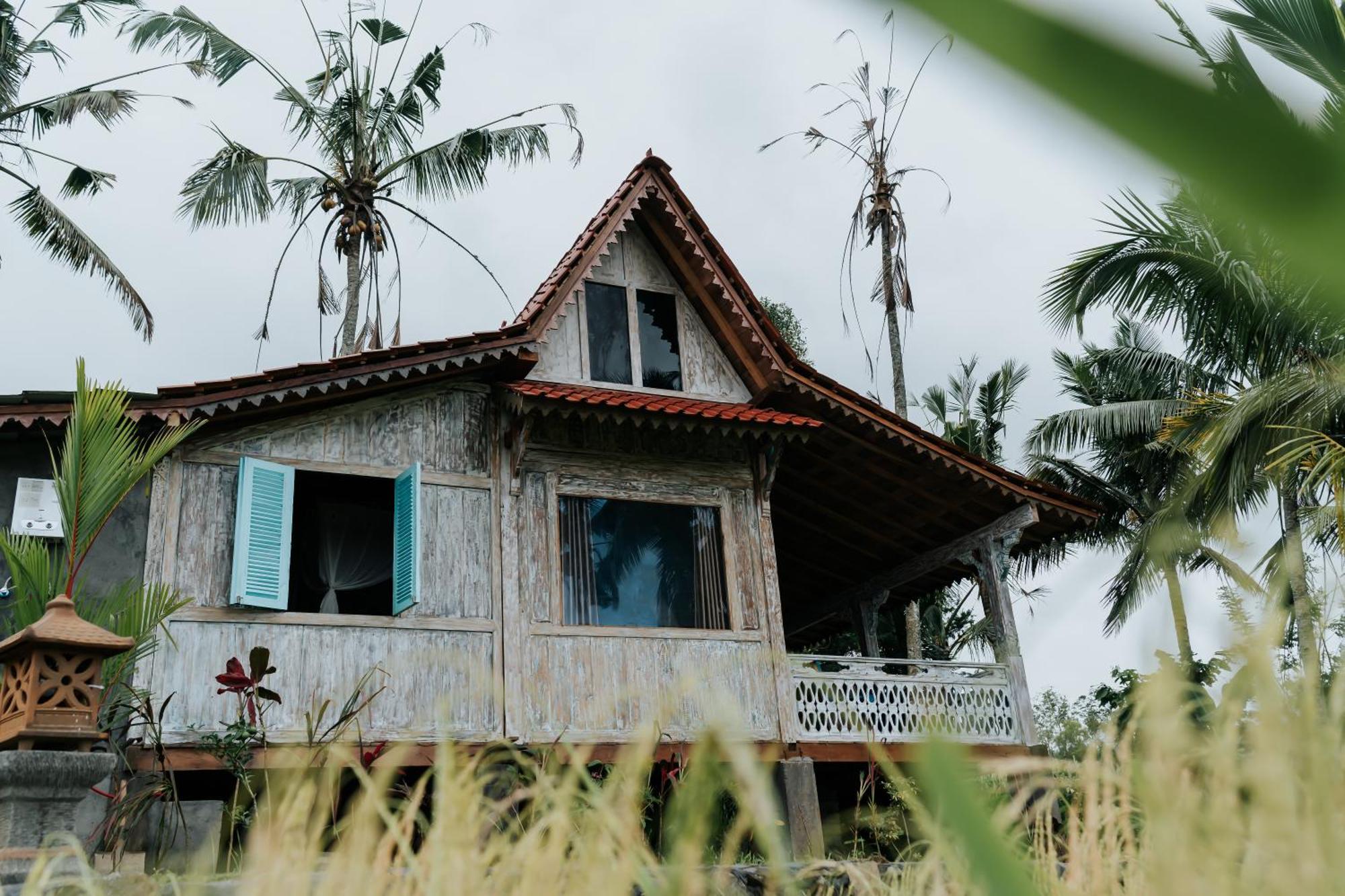D'Ume Bendoel Homestay Джатилувих Номер фото