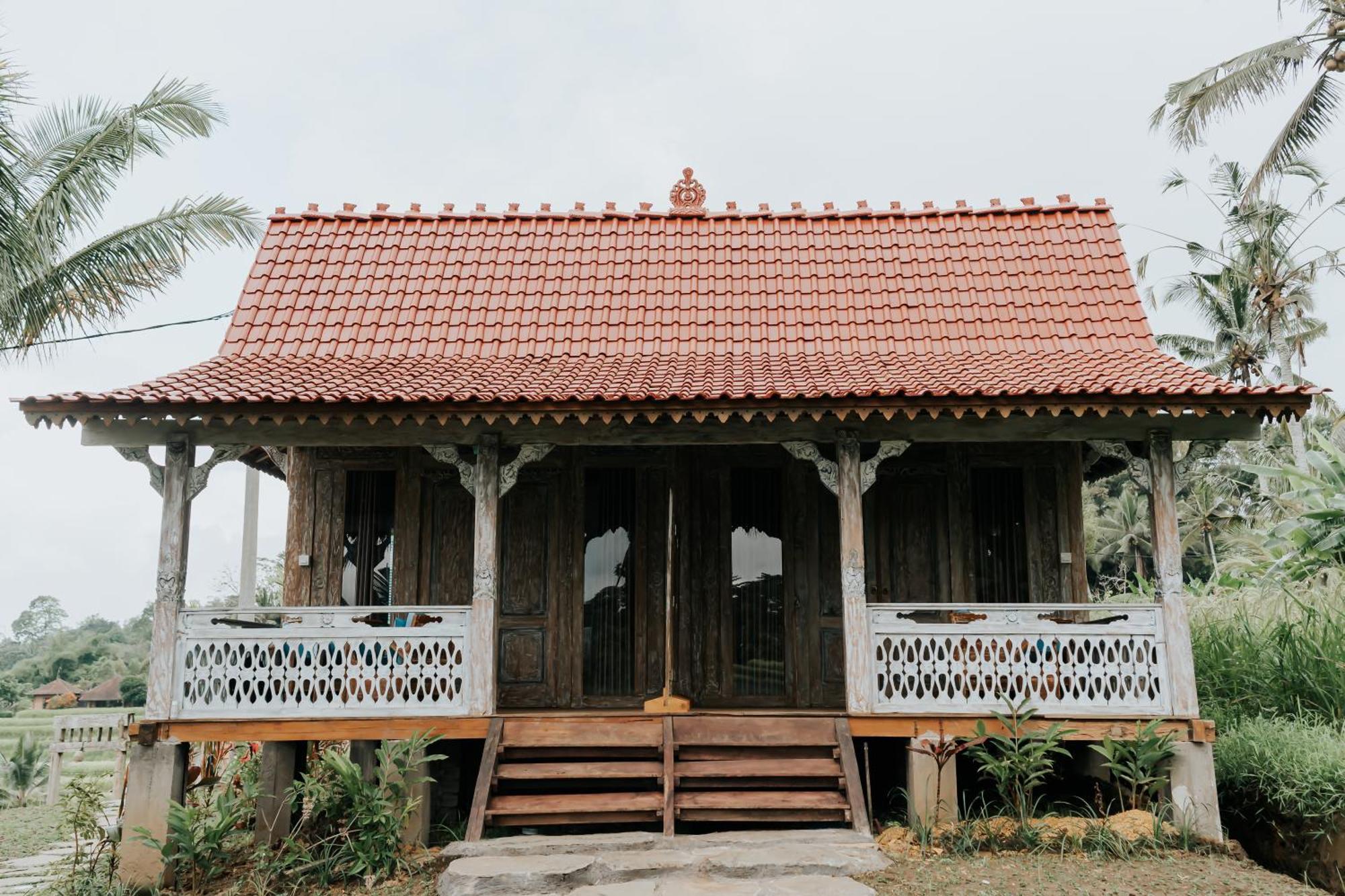 D'Ume Bendoel Homestay Джатилувих Экстерьер фото