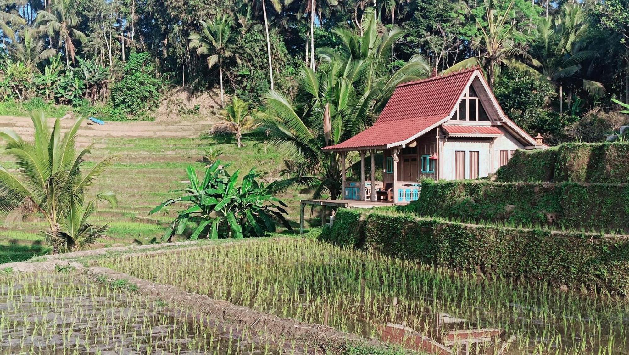 D'Ume Bendoel Homestay Джатилувих Номер фото