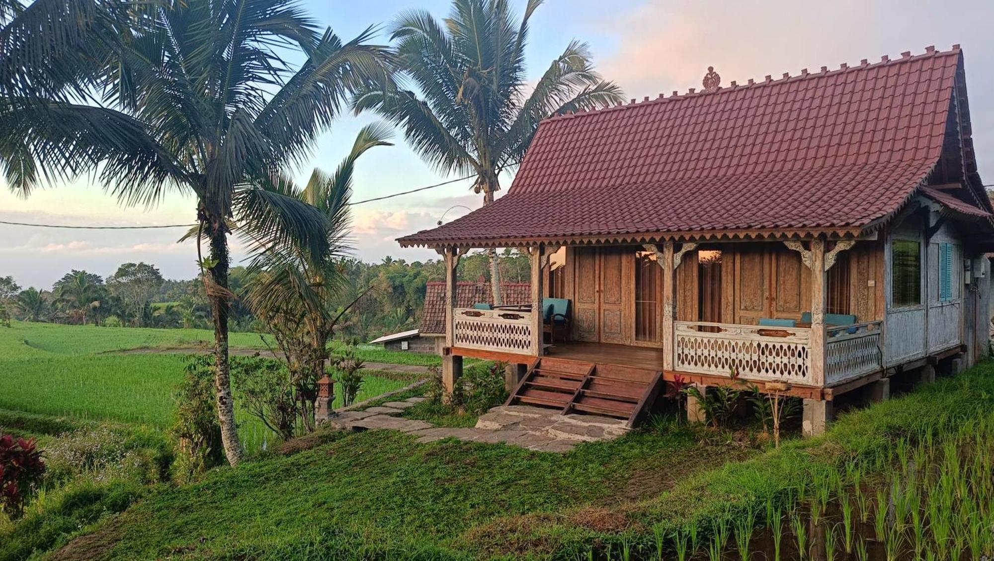 D'Ume Bendoel Homestay Джатилувих Экстерьер фото