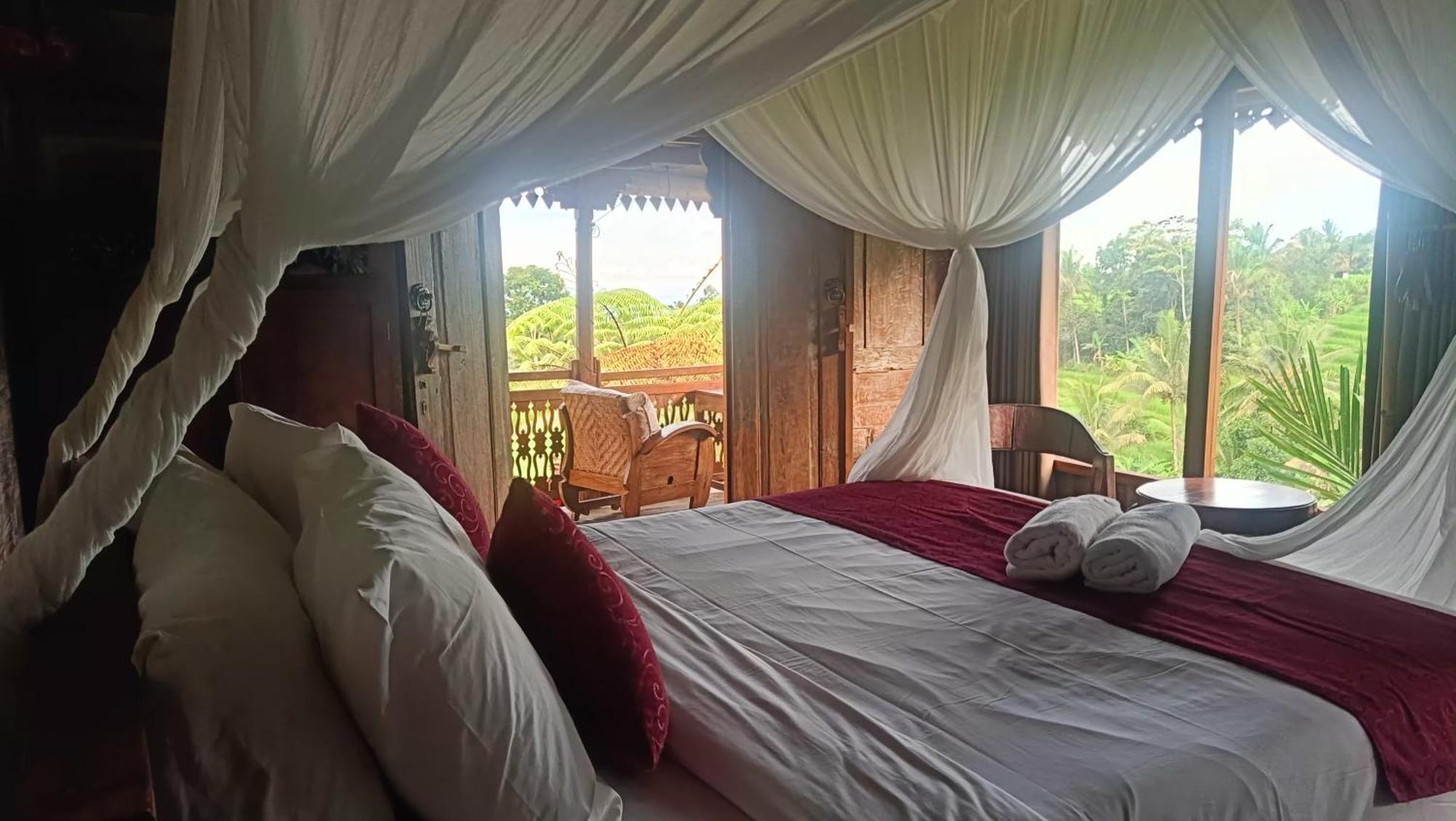 D'Ume Bendoel Homestay Джатилувих Номер фото